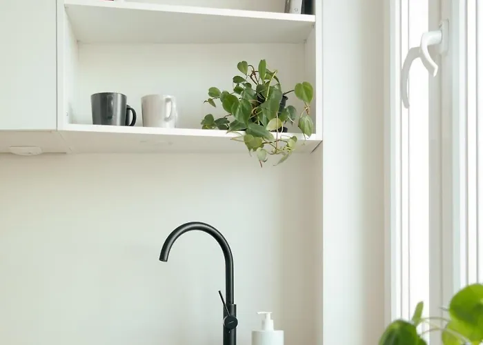 2-person In The Center Of Gdynia